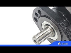 BMER-2-300-FH-SW 수압 모터 낮은 속도 높은 토크 18.08 큐브 인치 이동