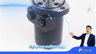 BMPH-100-H2-IS 유압 궤도 모터